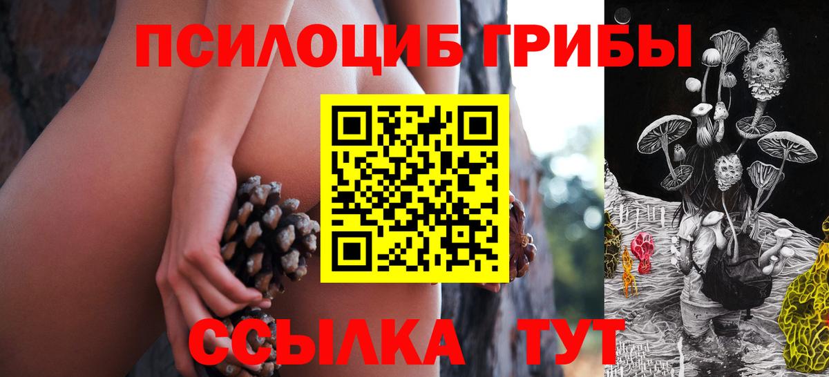 Бутурлиновка  Псилоцибиновые грибы мухоморы  Вход с VPN 