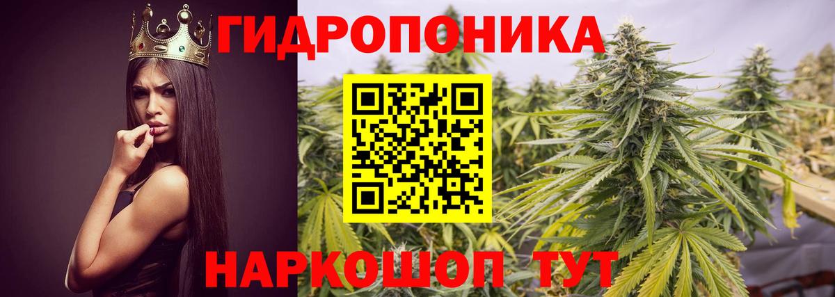 Каннабис White Widow  Шишки марихуана AK-47  Бутурлиновка  Вход с VPN 